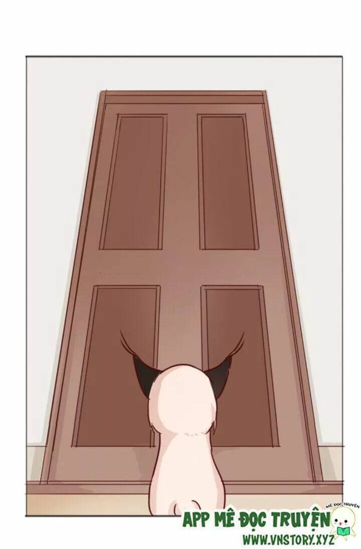 Hồ Tiên Này Không Tin Được Chapter 15 - Trang 2