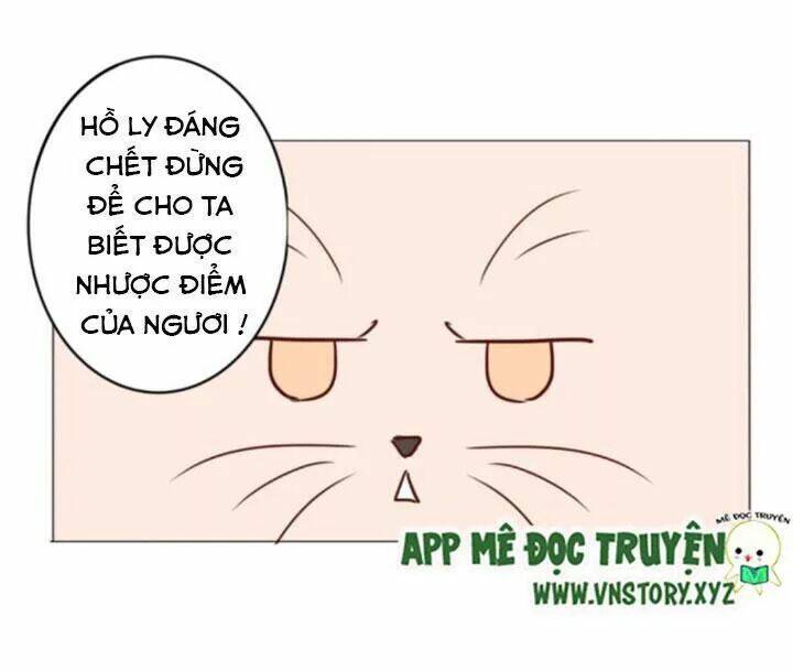 Hồ Tiên Này Không Tin Được Chapter 15 - Trang 2