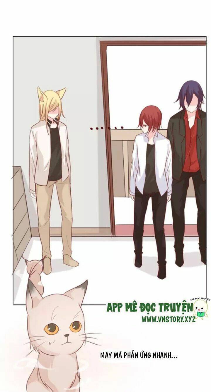 Hồ Tiên Này Không Tin Được Chapter 22 - Trang 2