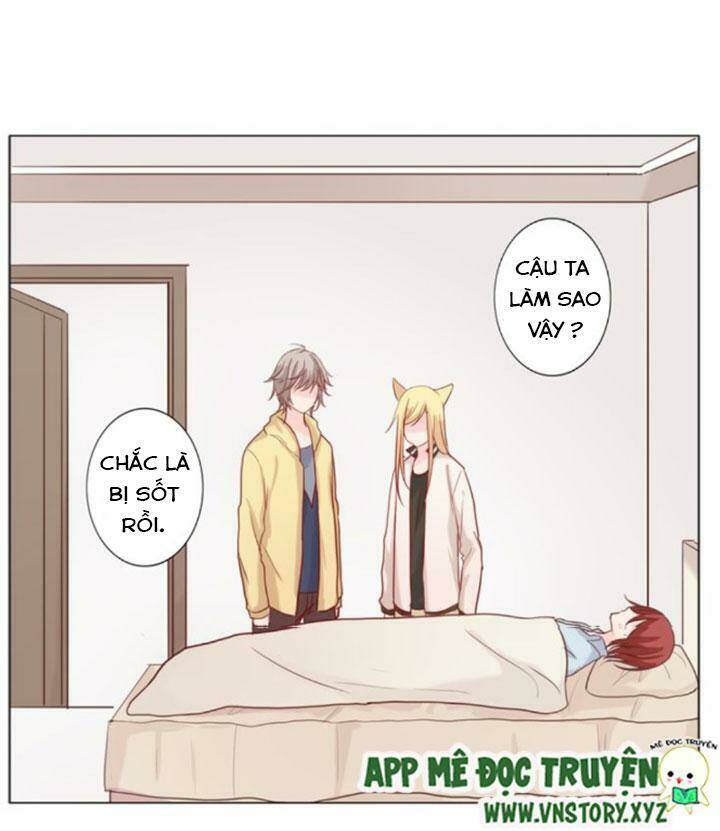 Hồ Tiên Này Không Tin Được Chapter 23 - Trang 2