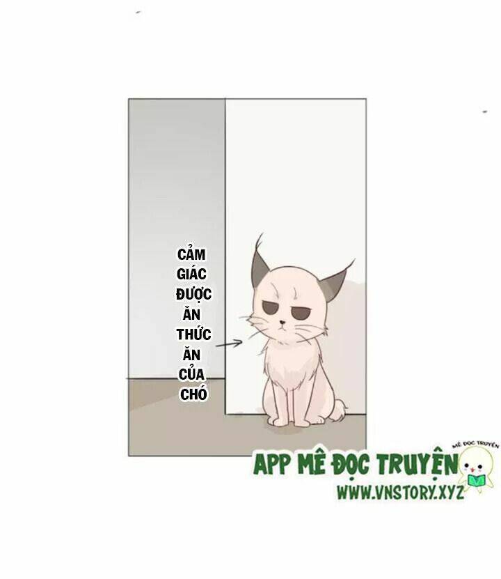 Hồ Tiên Này Không Tin Được Chapter 27 - Trang 2