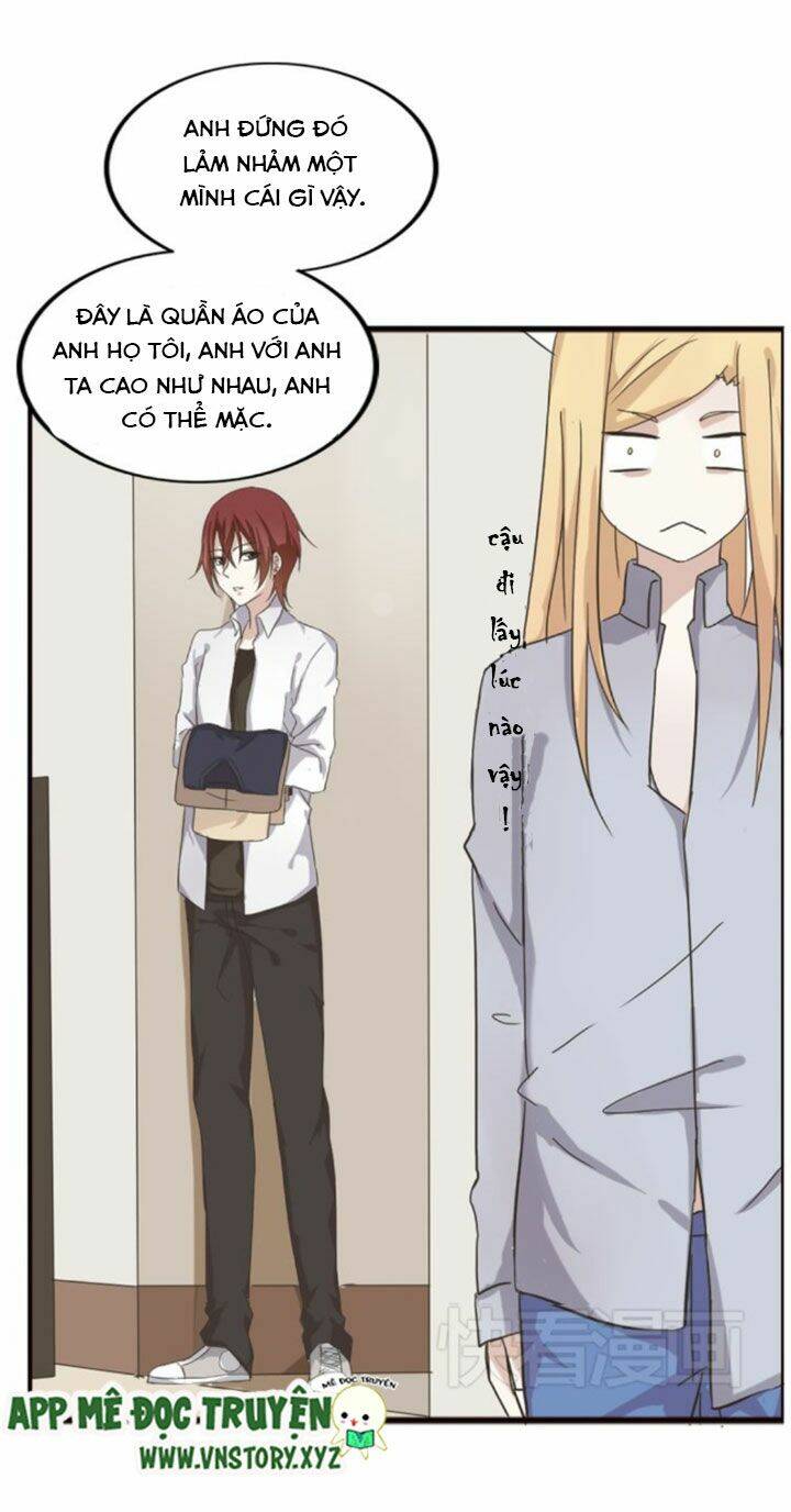 Hồ Tiên Này Không Tin Được Chapter 3 - Trang 2