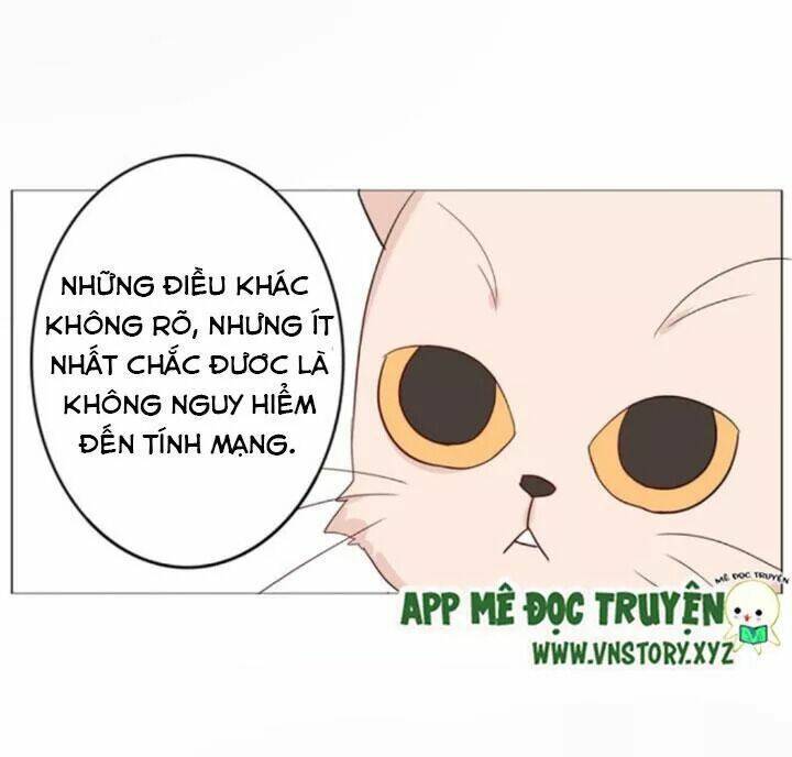Hồ Tiên Này Không Tin Được Chapter 30 - Trang 2