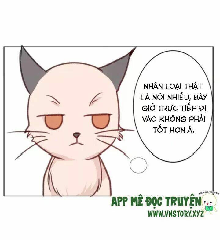 Hồ Tiên Này Không Tin Được Chapter 35 - Trang 2