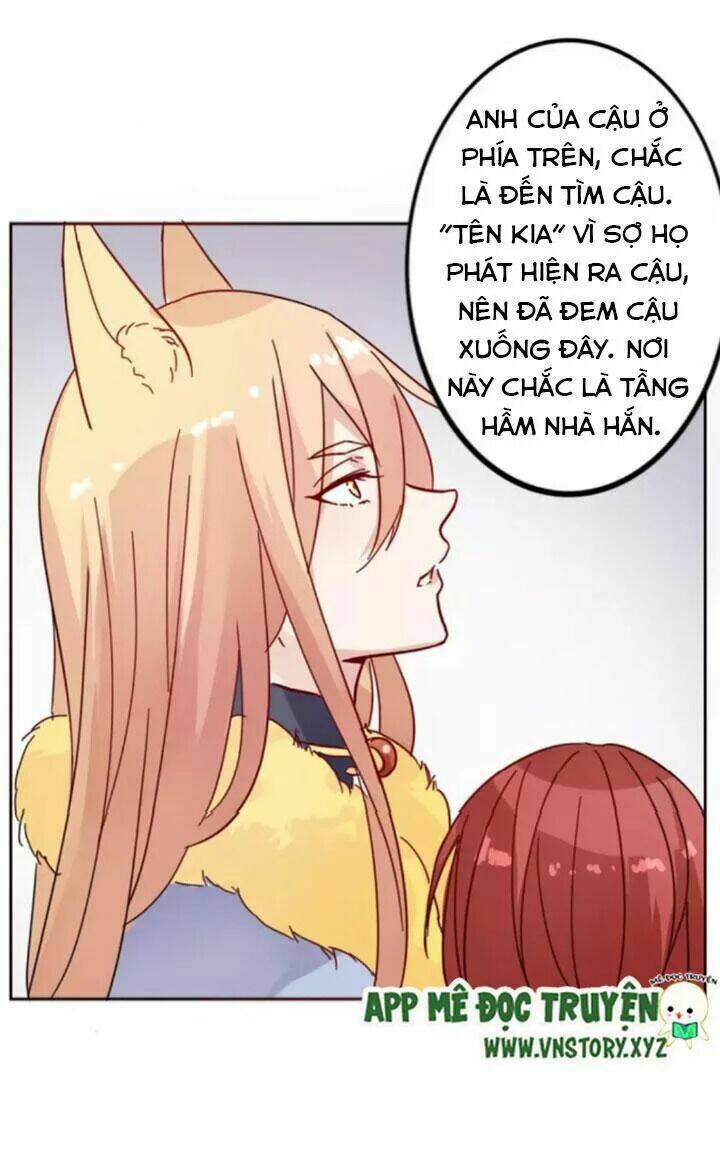 Hồ Tiên Này Không Tin Được Chapter 36 - Trang 2