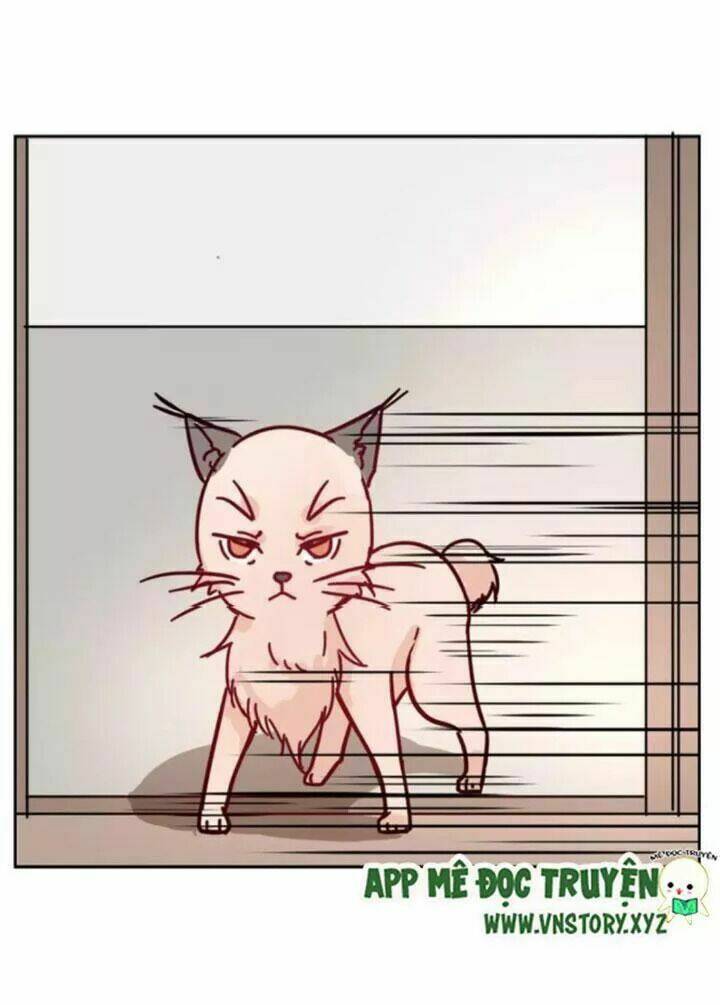 Hồ Tiên Này Không Tin Được Chapter 36 - Trang 2