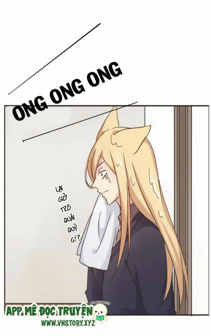 Hồ Tiên Này Không Tin Được Chapter 4 - Trang 2