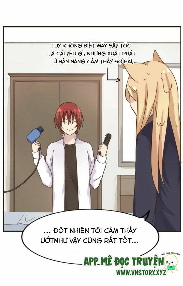 Hồ Tiên Này Không Tin Được Chapter 4 - Trang 2