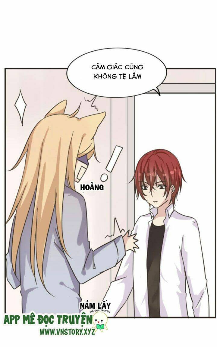 Hồ Tiên Này Không Tin Được Chapter 4 - Trang 2