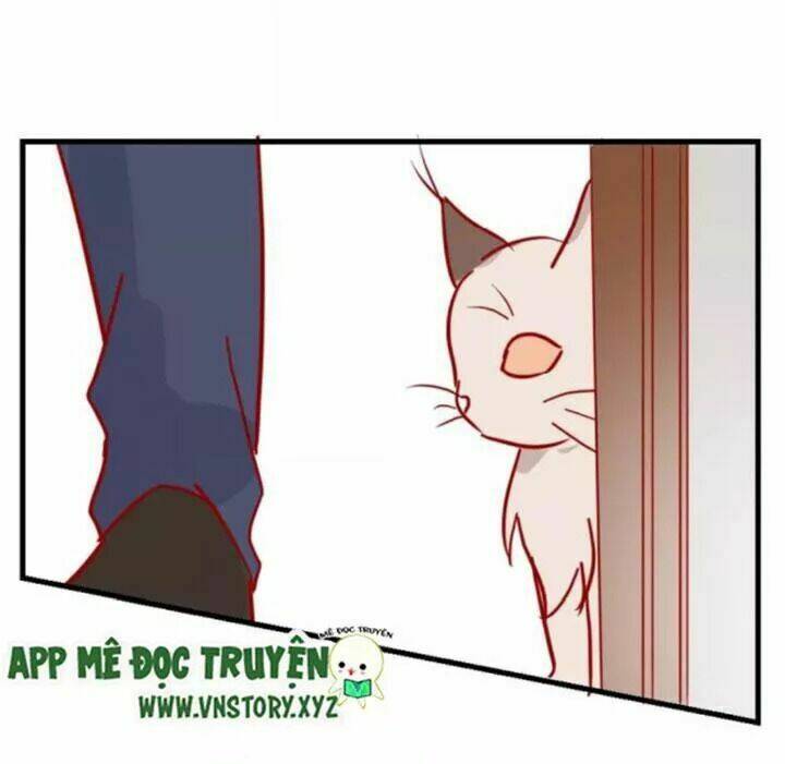 Hồ Tiên Này Không Tin Được Chapter 43 - Trang 2