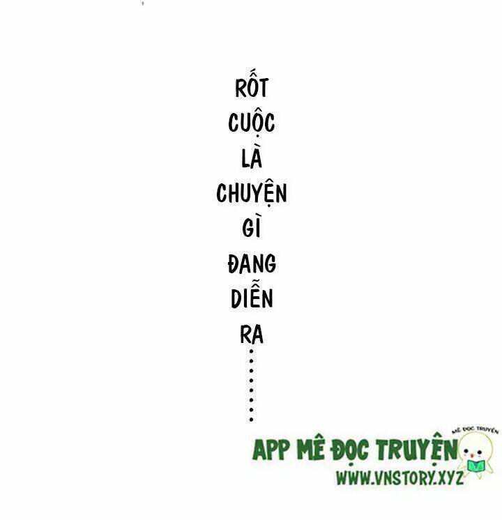 Hồ Tiên Này Không Tin Được Chapter 43 - Trang 2