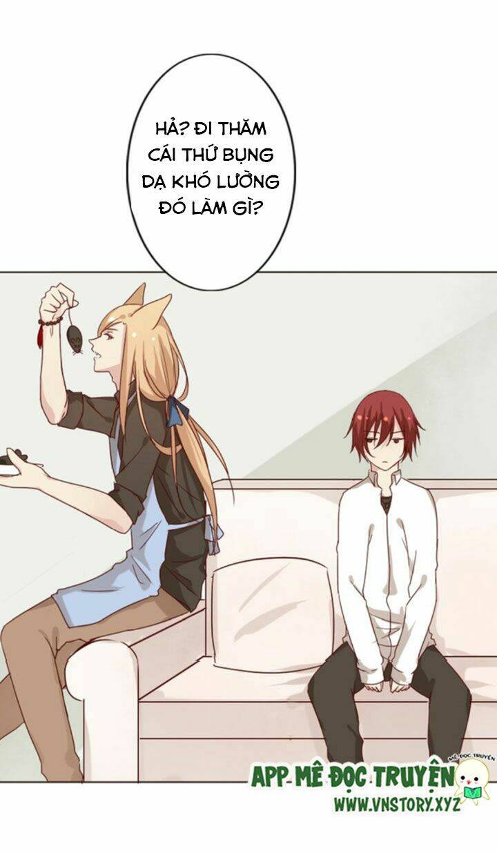 Hồ Tiên Này Không Tin Được Chapter 5 - Trang 2