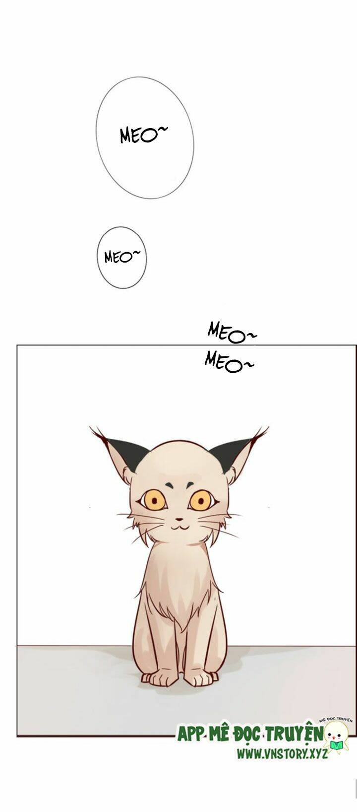 Hồ Tiên Này Không Tin Được Chapter 7 - Trang 2