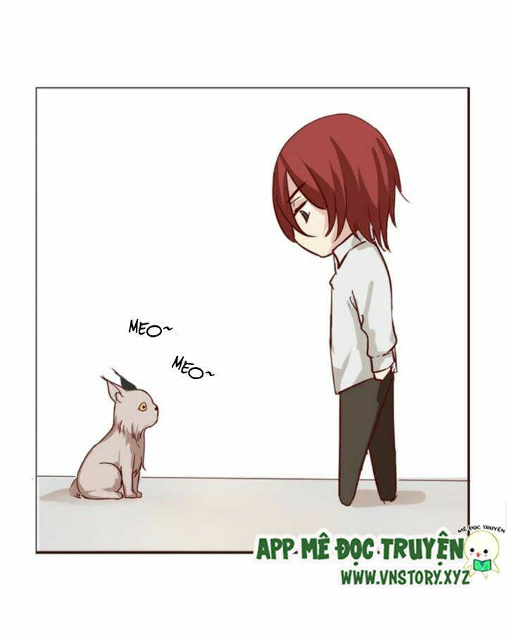 Hồ Tiên Này Không Tin Được Chapter 7 - Trang 2