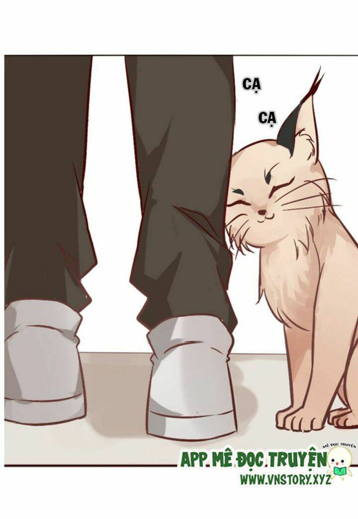 Hồ Tiên Này Không Tin Được Chapter 7 - Trang 2