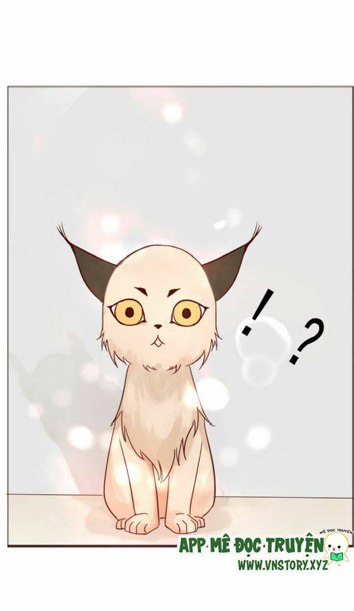 Hồ Tiên Này Không Tin Được Chapter 8 - Trang 2