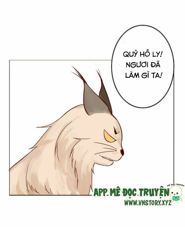 Hồ Tiên Này Không Tin Được Chapter 8 - Trang 2