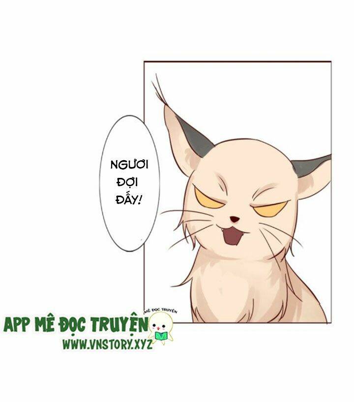 Hồ Tiên Này Không Tin Được Chapter 8 - Trang 2