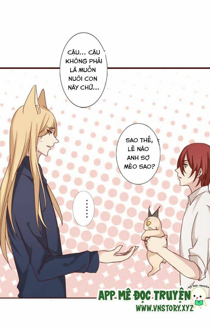 Hồ Tiên Này Không Tin Được Chapter 8 - Trang 2