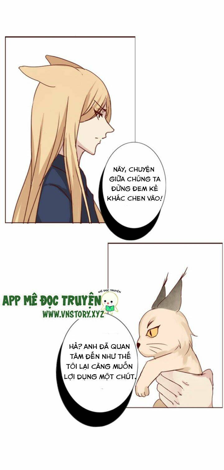 Hồ Tiên Này Không Tin Được Chapter 8 - Trang 2