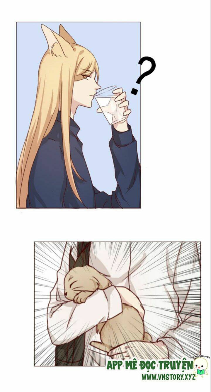 Hồ Tiên Này Không Tin Được Chapter 8 - Trang 2