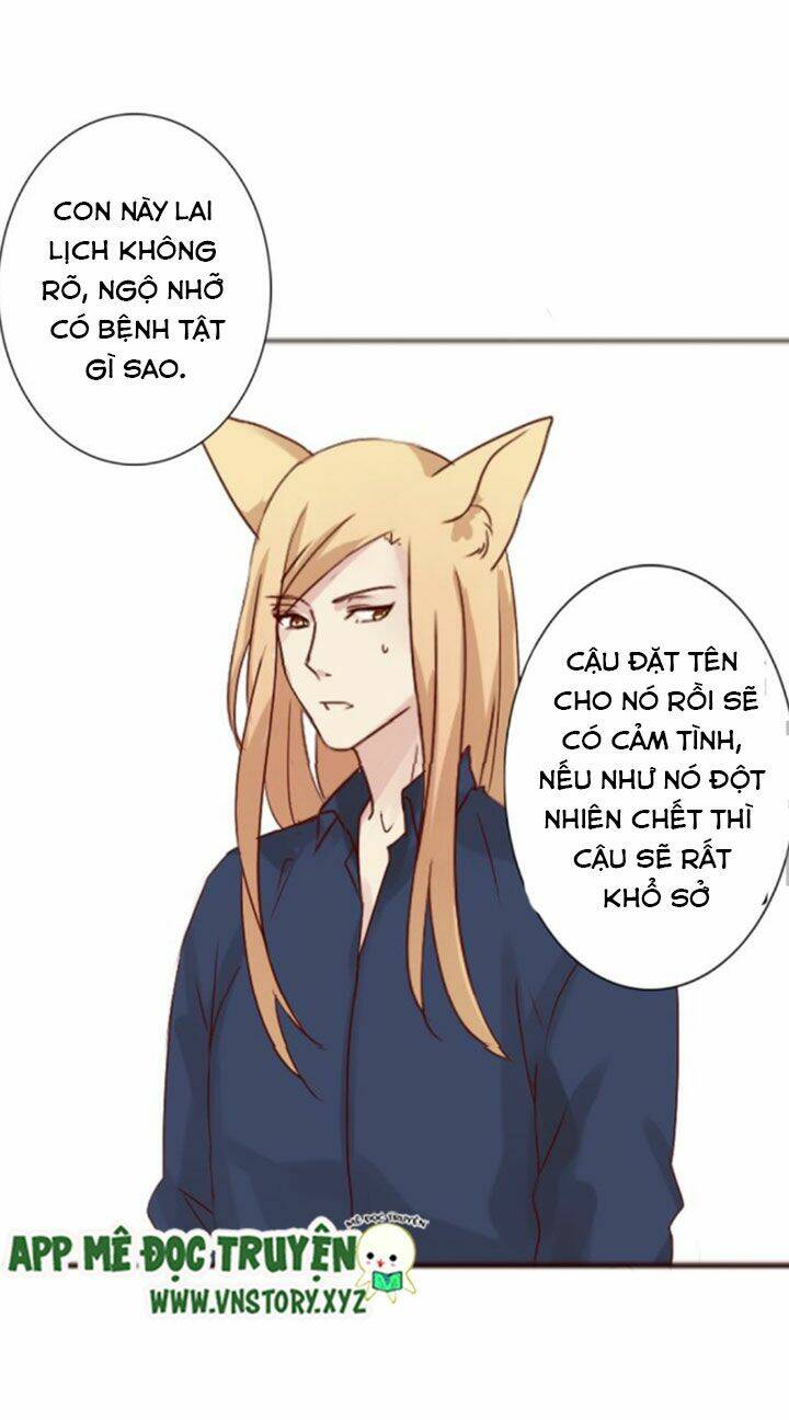 Hồ Tiên Này Không Tin Được Chapter 9 - Trang 2