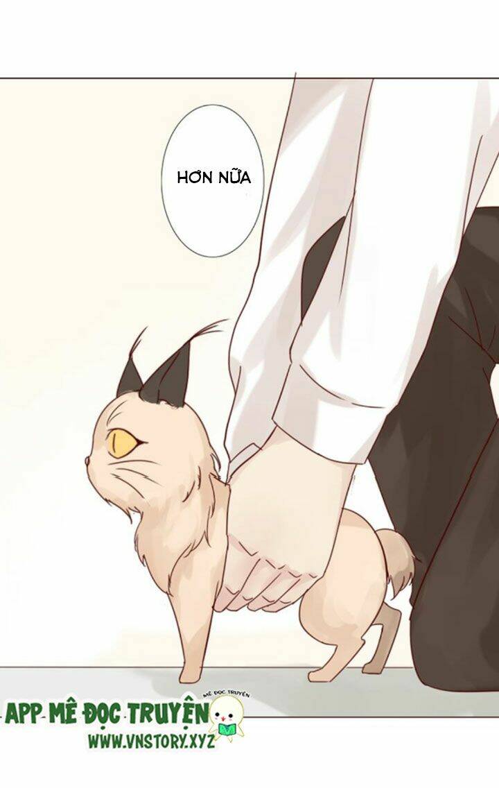 Hồ Tiên Này Không Tin Được Chapter 9 - Trang 2