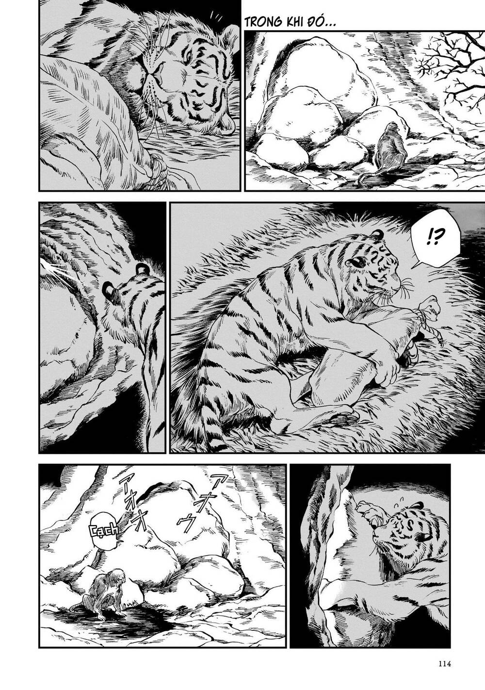 Hổ Vẫn Chưa Muốn Xơi Rồng Chapter 12 - Trang 2