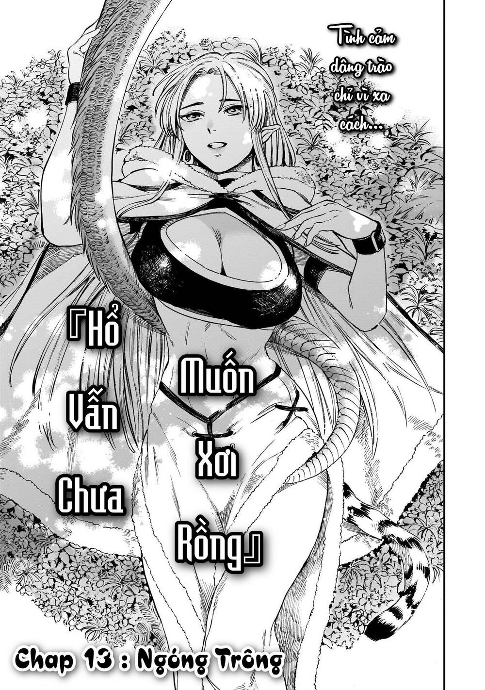 Hổ Vẫn Chưa Muốn Xơi Rồng Chapter 13 - Trang 2