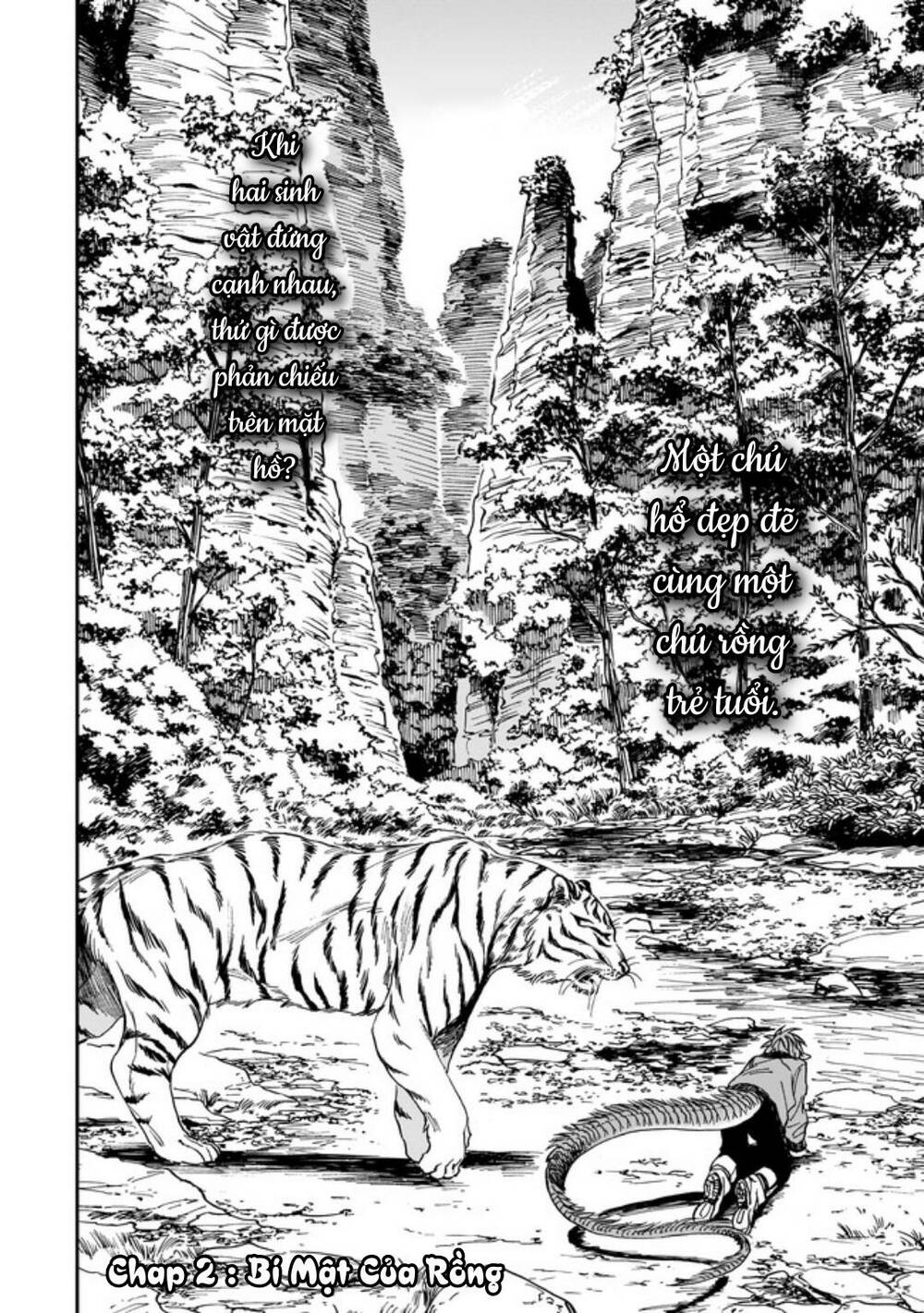 Hổ Vẫn Chưa Muốn Xơi Rồng Chapter 2 - Trang 2