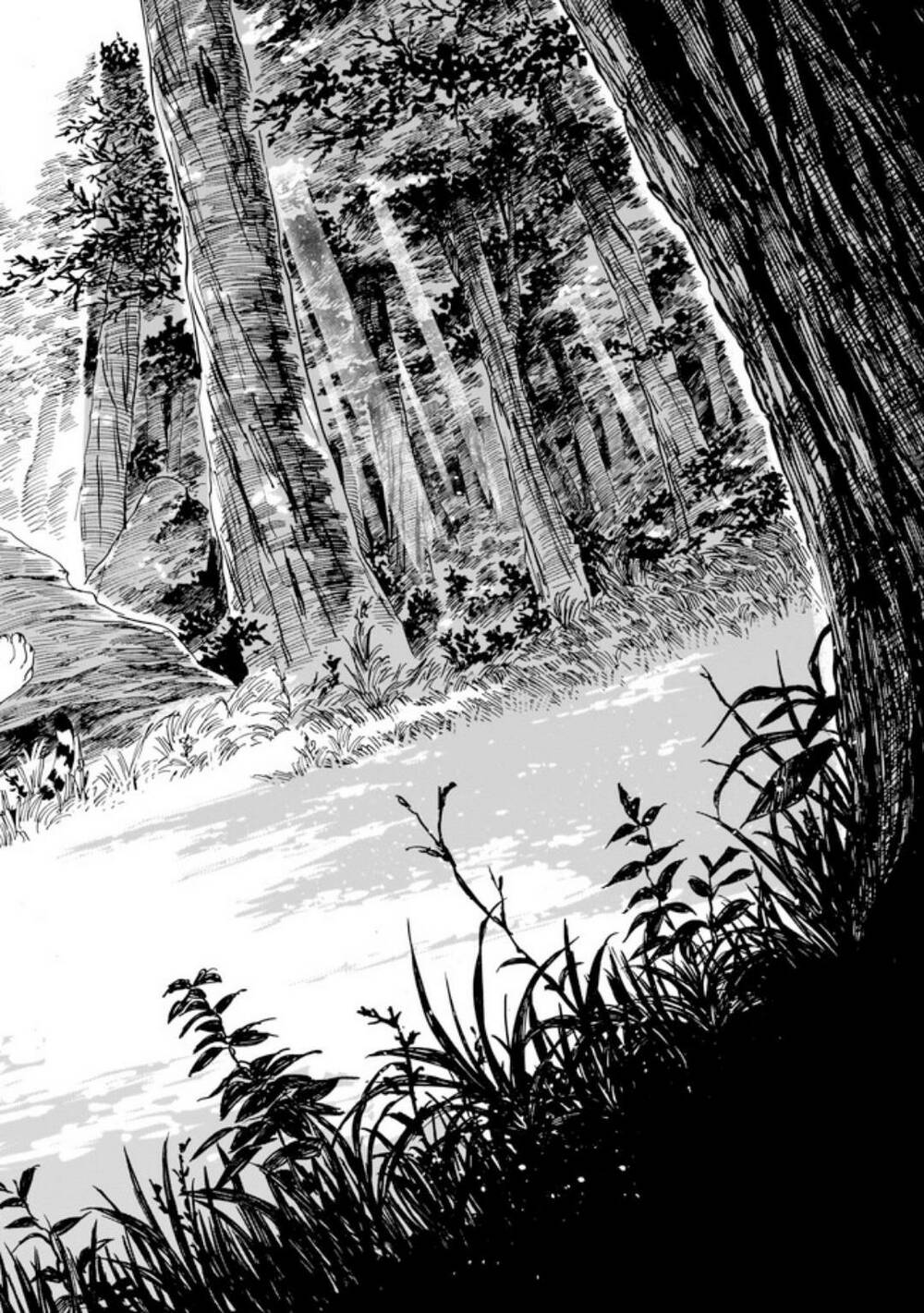 Hổ Vẫn Chưa Muốn Xơi Rồng Chapter 3 - Trang 2