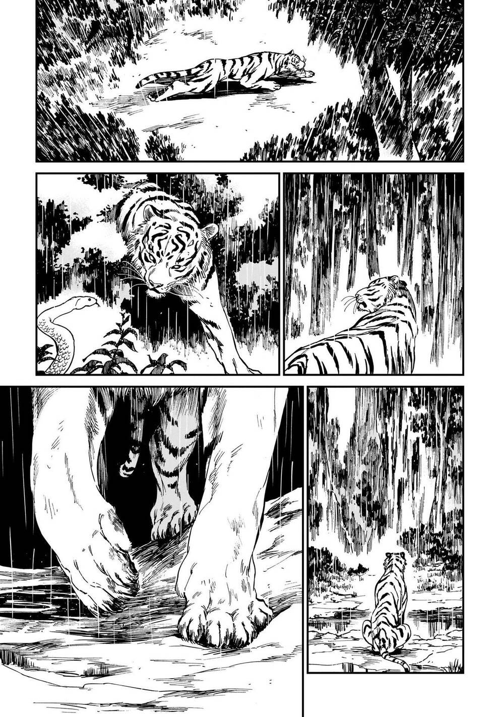 Hổ Vẫn Chưa Muốn Xơi Rồng Chapter 4 - Trang 2