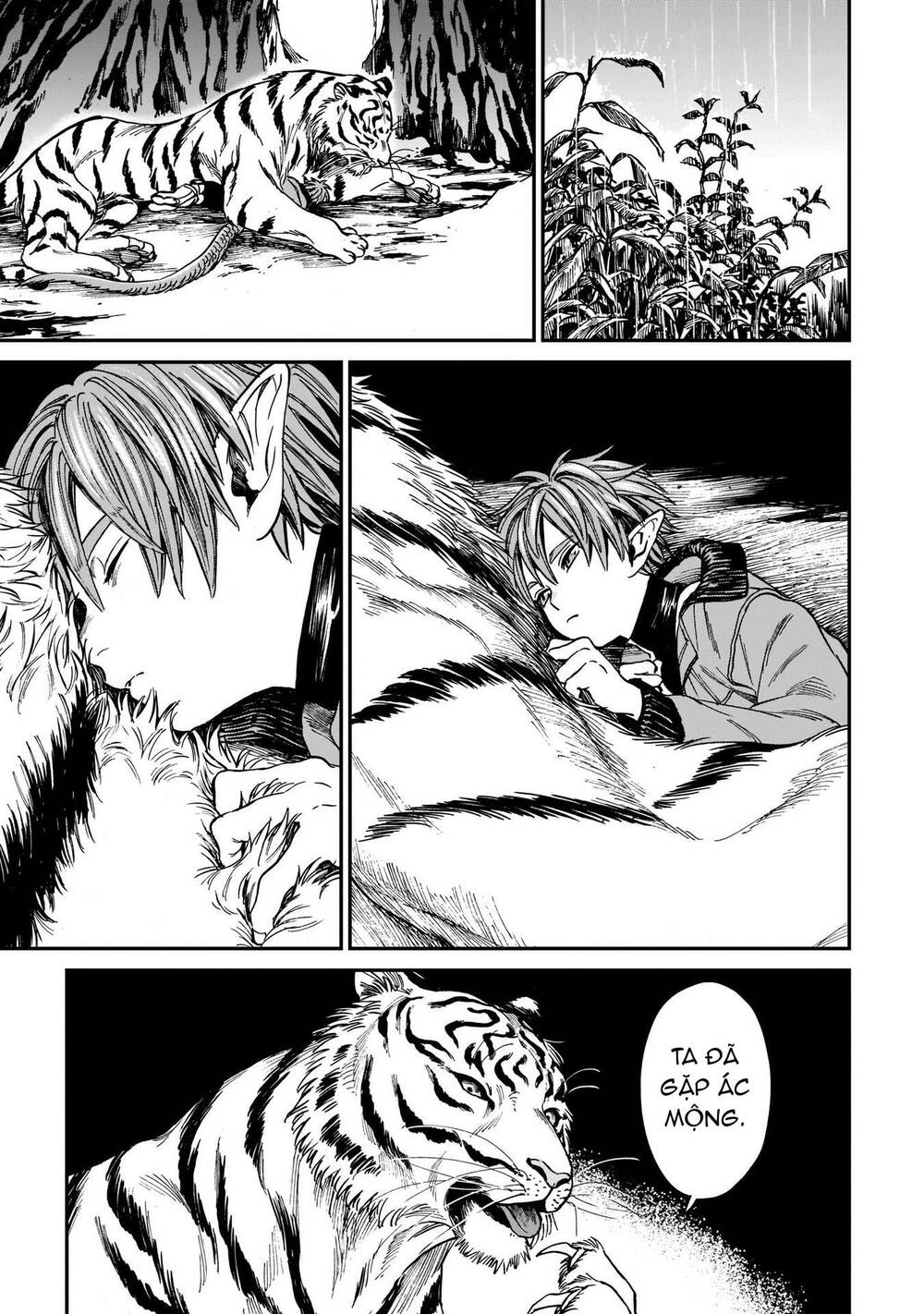 Hổ Vẫn Chưa Muốn Xơi Rồng Chapter 4 - Trang 2