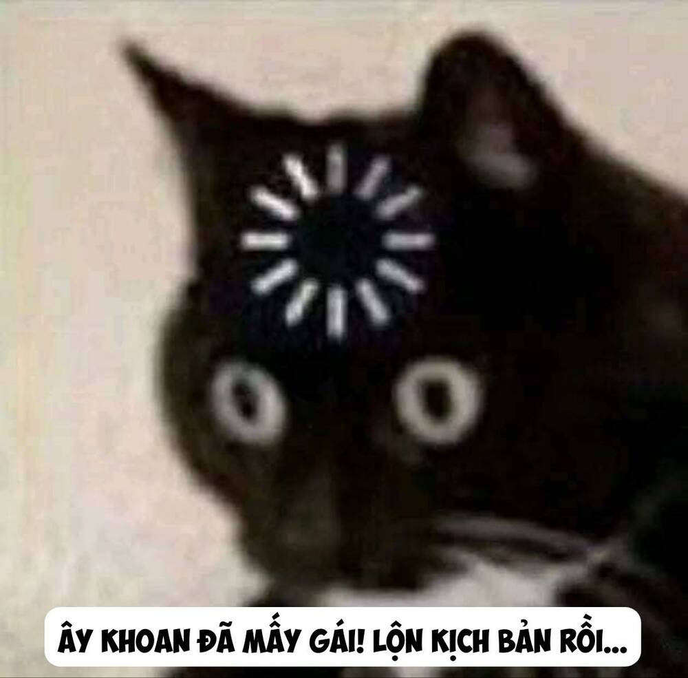 Hổ Vẫn Chưa Muốn Xơi Rồng Chapter 4 - Trang 2