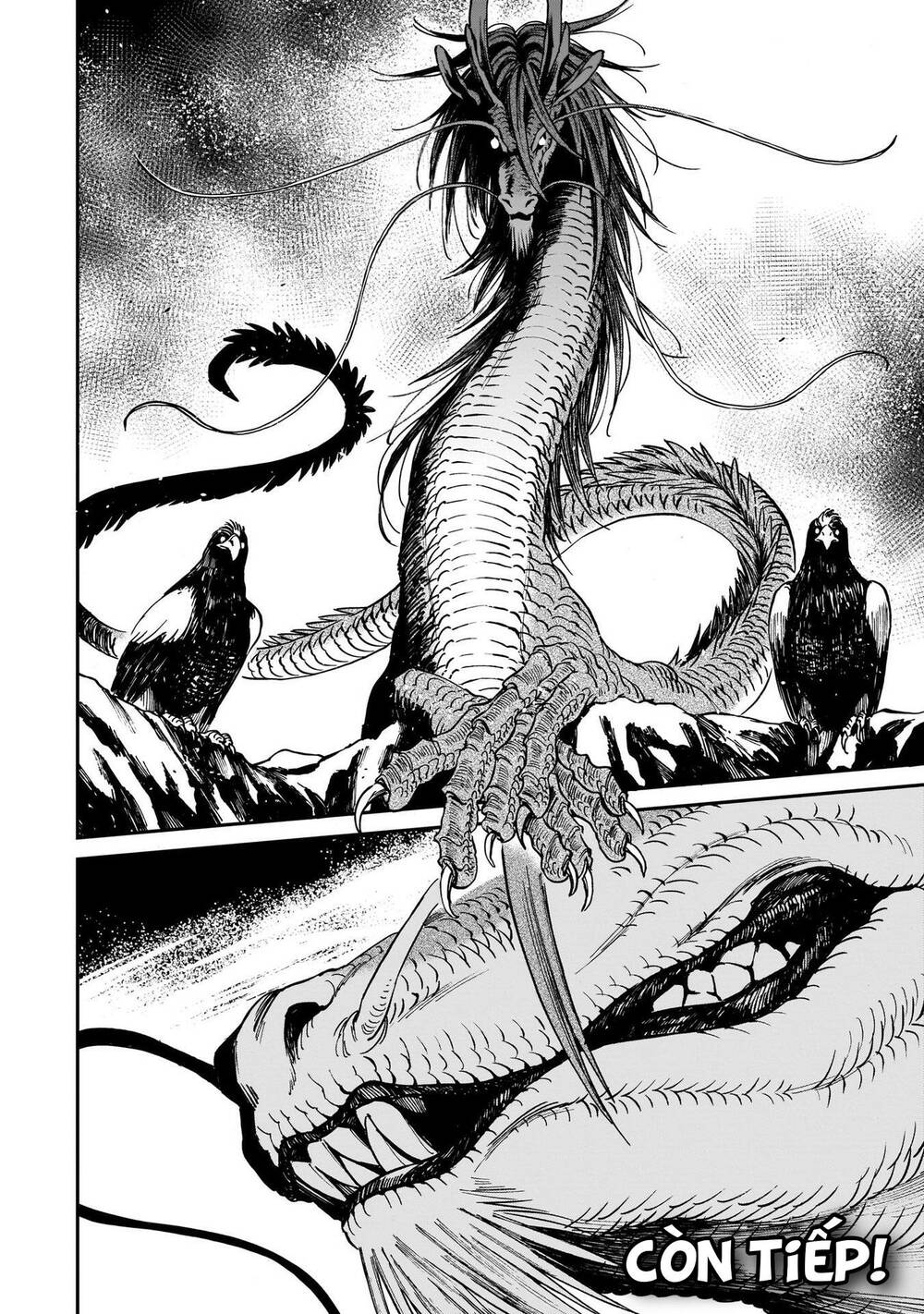 Hổ Vẫn Chưa Muốn Xơi Rồng Chapter 4 - Trang 2