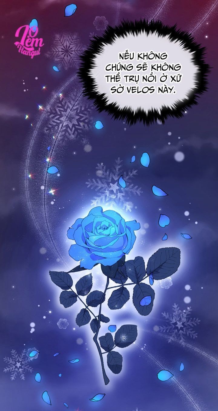 Hộ Vệ Của Bạo Chúa Là Ác Nữ Chapter 14 - Trang 2