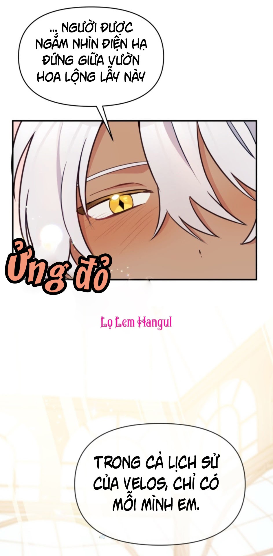 Hộ Vệ Của Bạo Chúa Là Ác Nữ Chapter 15 - Trang 2