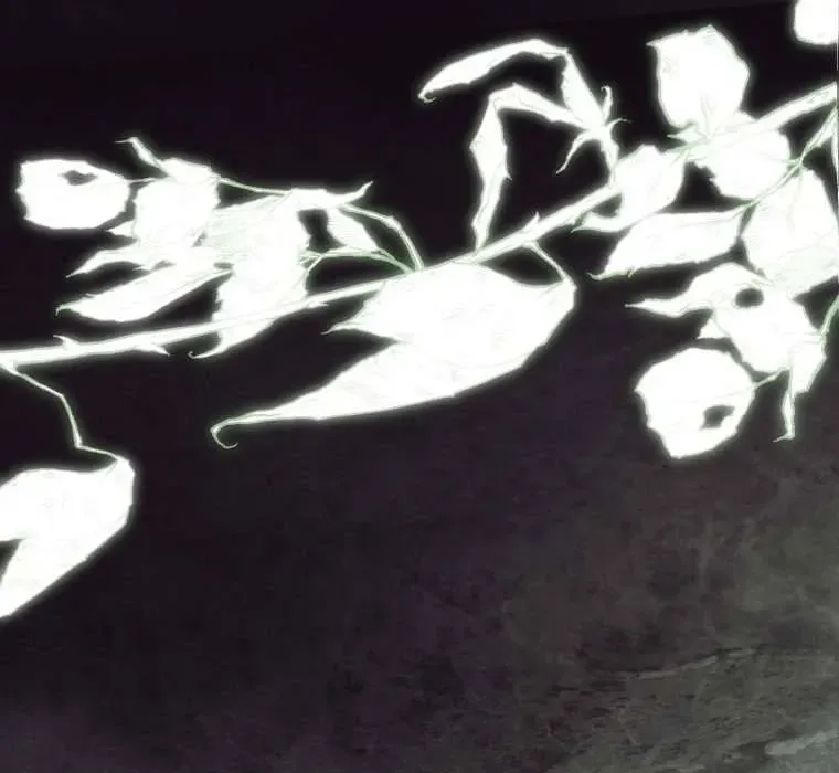 Hoa Bên Lưỡi Kiếm Chapter 40 - Trang 2
