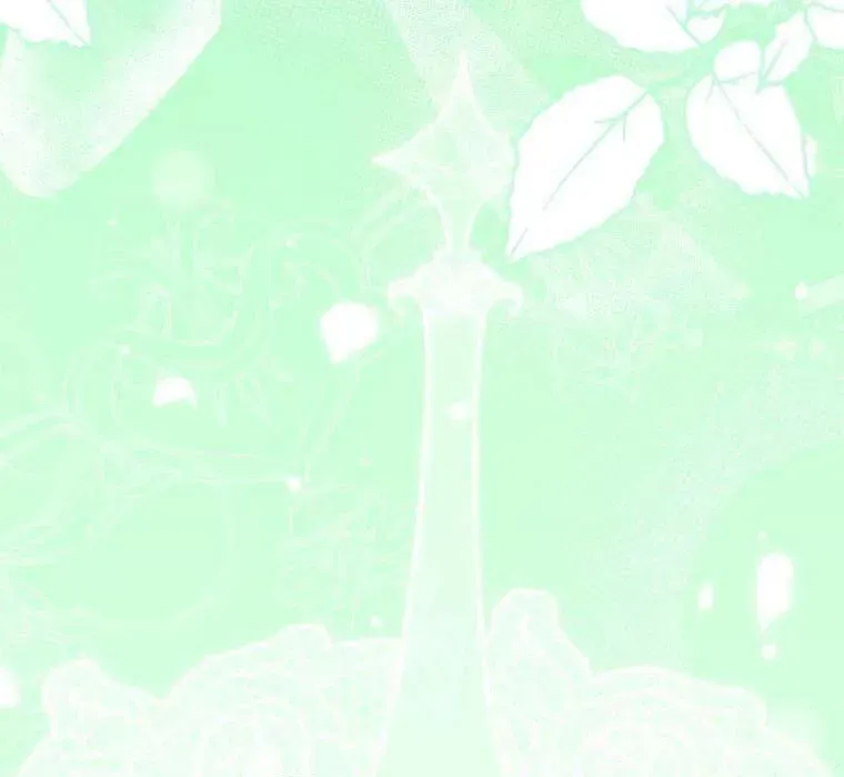 Hoa Bên Lưỡi Kiếm Chapter 41 - Trang 2