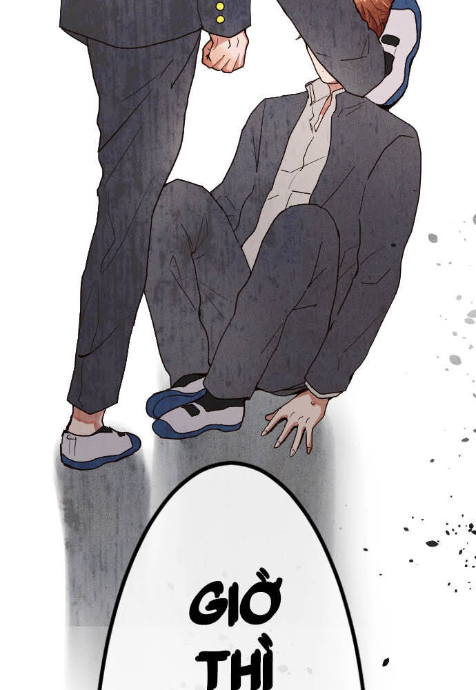 Hoa Cánh Sao Chapter 100 - Trang 2