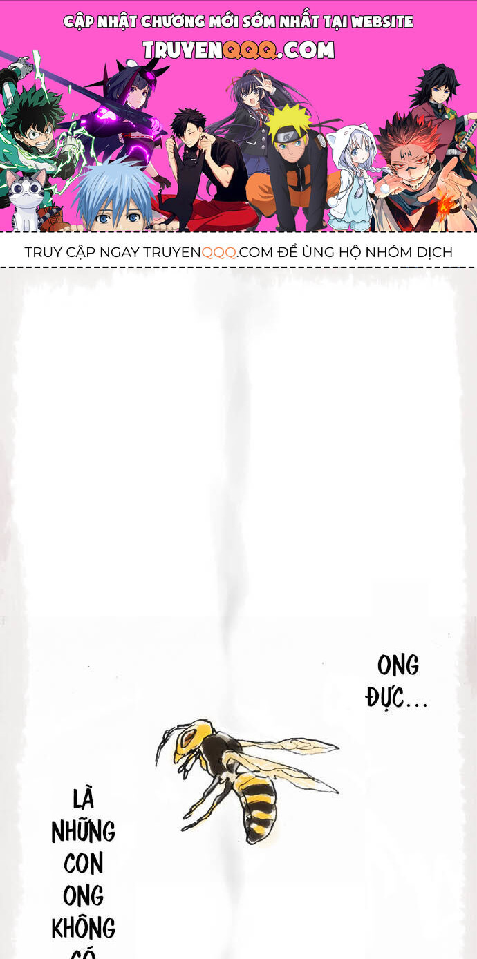 Hoa Cánh Sao Chapter 12 - Trang 2