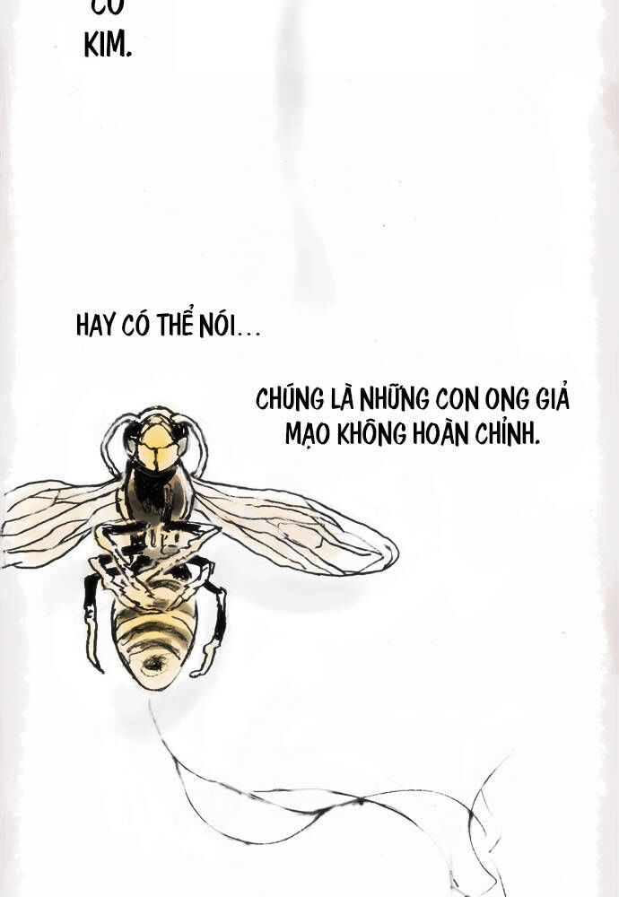 Hoa Cánh Sao Chapter 12 - Trang 2