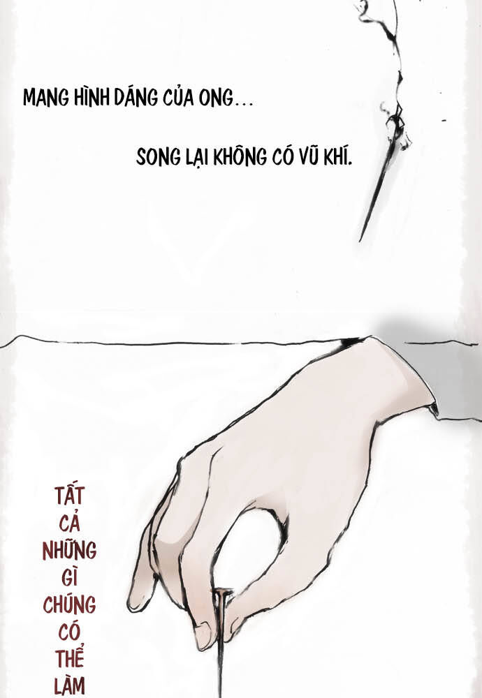 Hoa Cánh Sao Chapter 12 - Trang 2