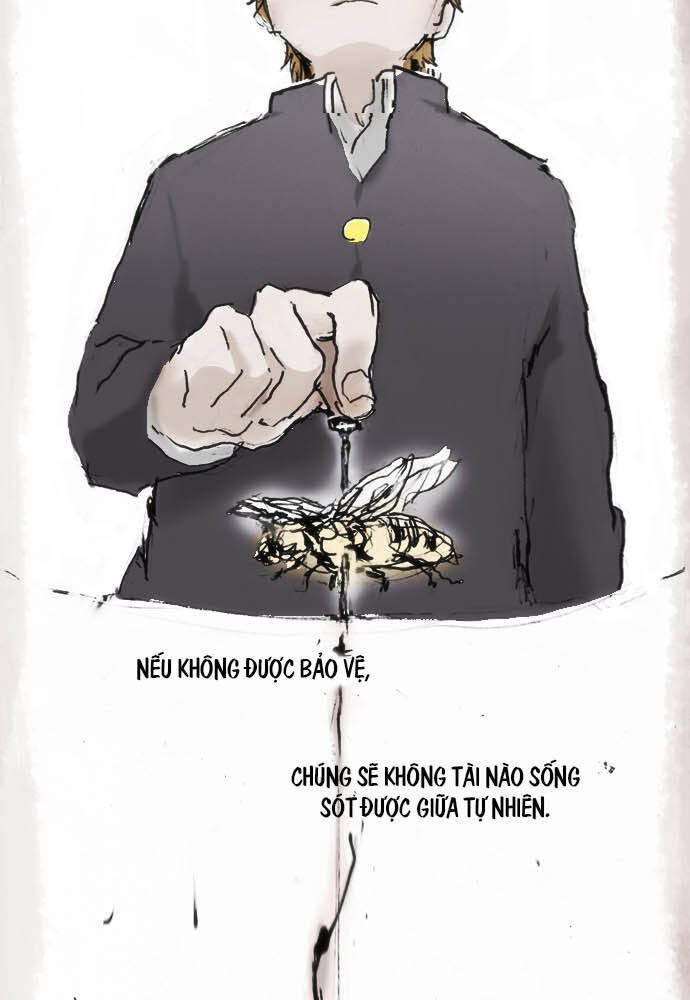 Hoa Cánh Sao Chapter 12 - Trang 2