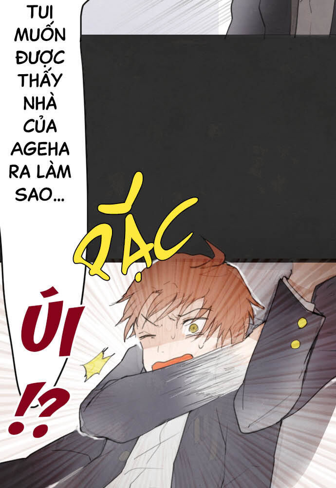 Hoa Cánh Sao Chapter 13 - Trang 2