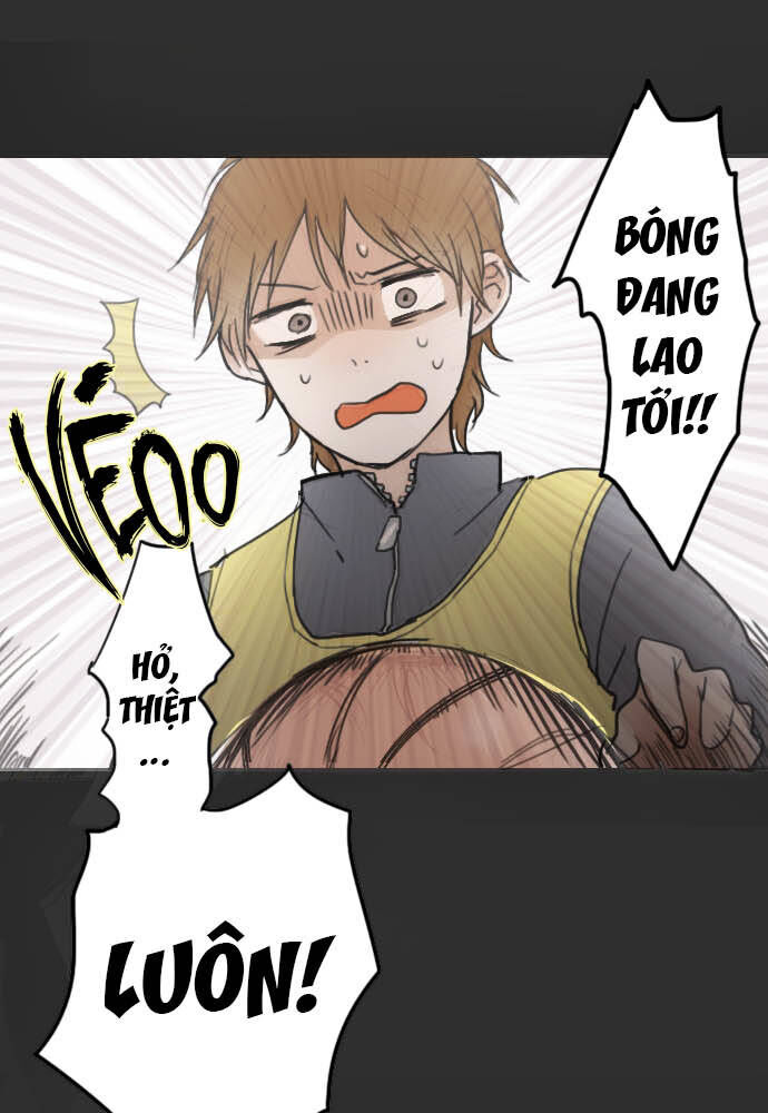 Hoa Cánh Sao Chapter 14 - Trang 2