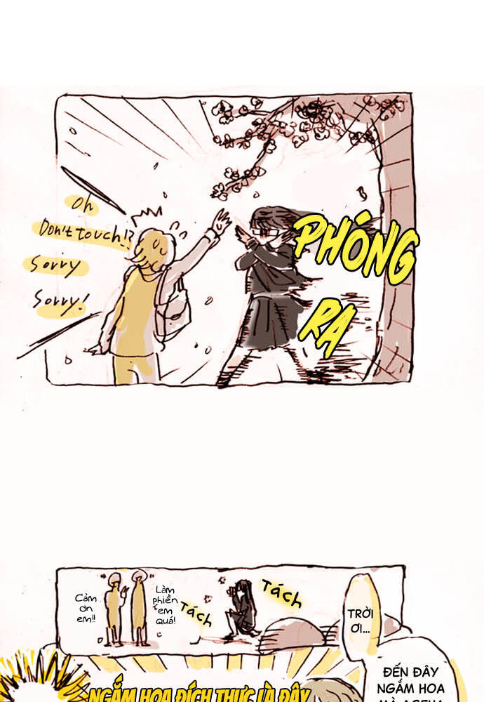 Hoa Cánh Sao Chapter 15 - Trang 2