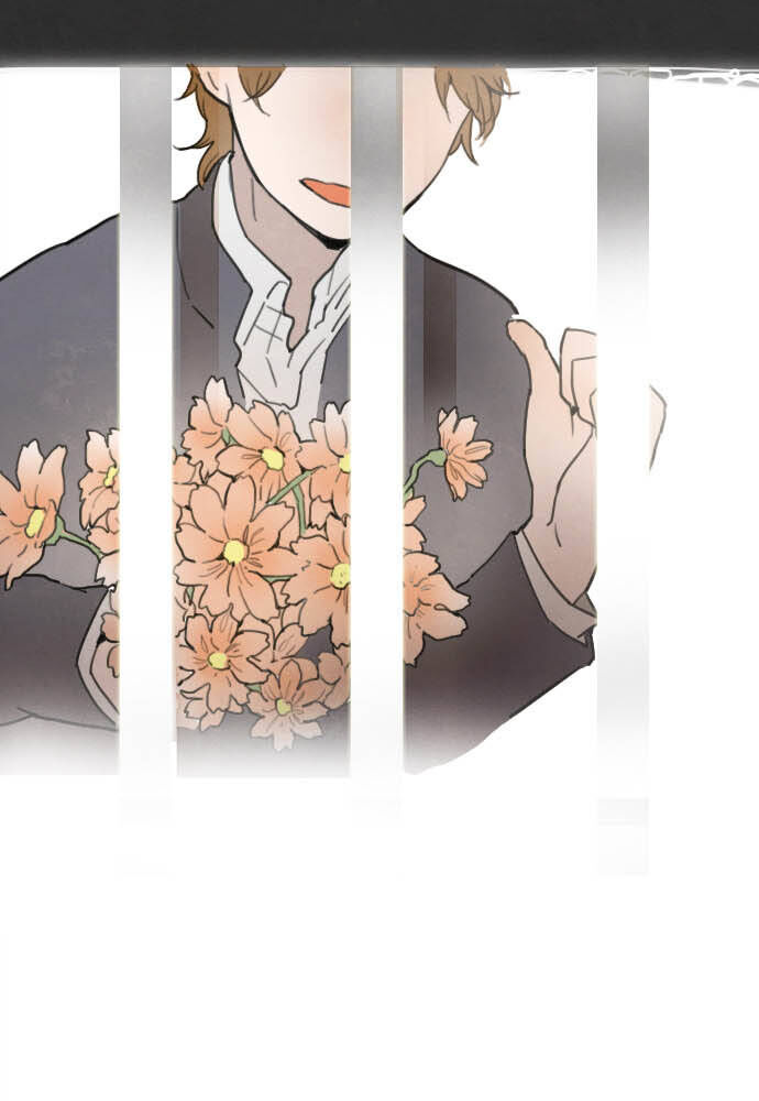 Hoa Cánh Sao Chapter 16 - Trang 2
