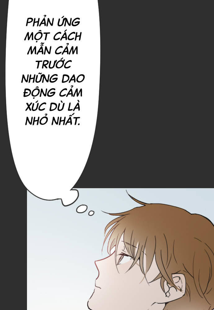 Hoa Cánh Sao Chapter 17 - Trang 2