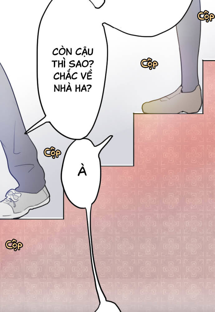 Hoa Cánh Sao Chapter 19 - Trang 2
